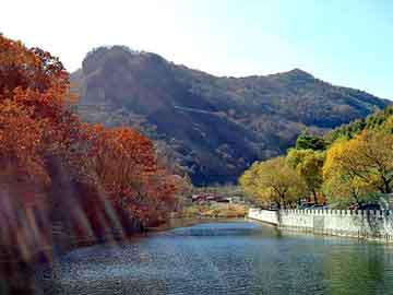 上海品茶网：The ever-changing scenery is displayed in Shanghai Tea House