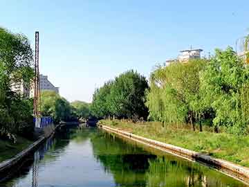 爱上海：The atmosphere and fun intertwine, seeking the beauty in Shanghai's tea houses